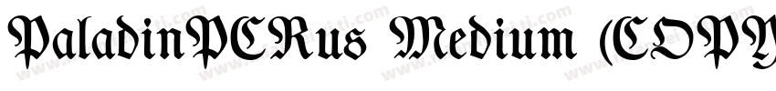 PaladinPCRus Medium (COPY 1)字体转换
